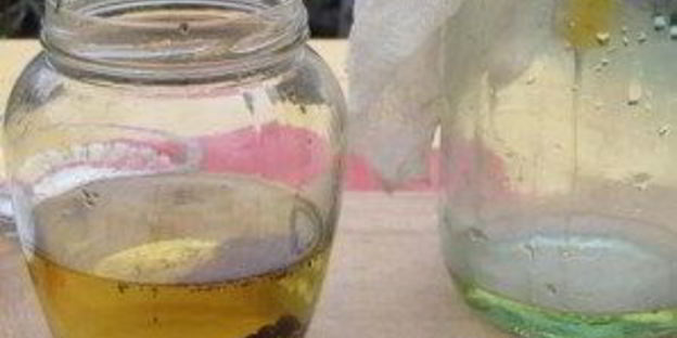 анисовая настойка на самогоне