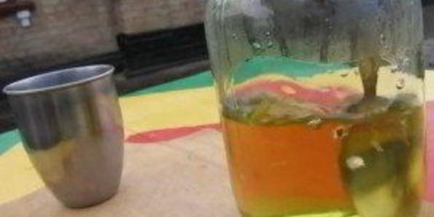 анисовая настойка на самогоне