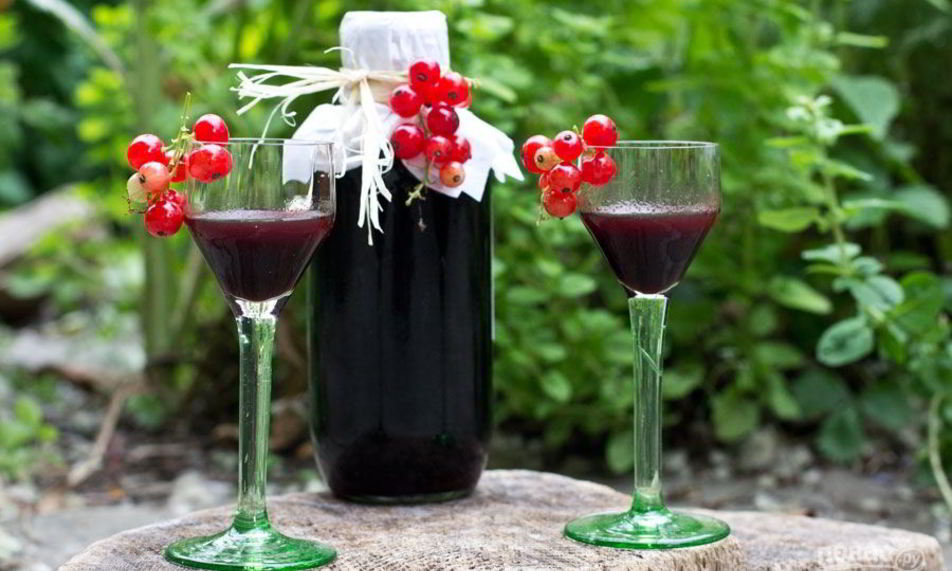 Рецепт настойки из черной смородины