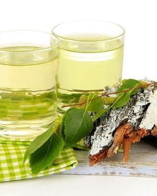 Настойка на березовых почках