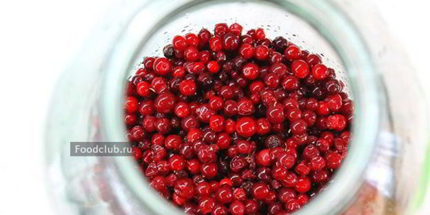 настойка на бруснике