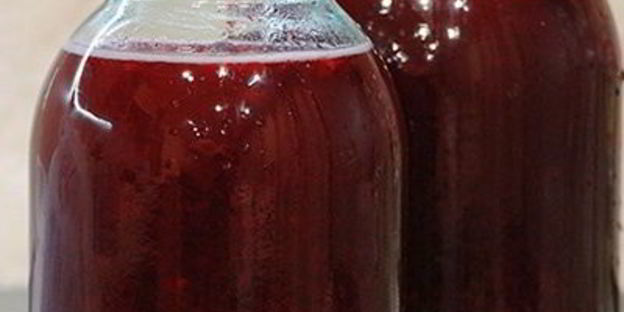 настойка на бруснике