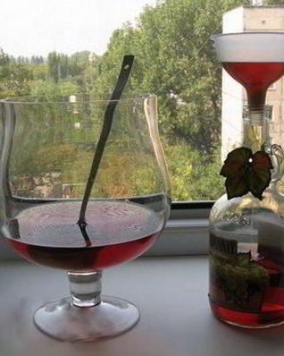 Настойка на калгане