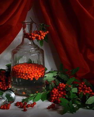 Рябиновая настойка на водке