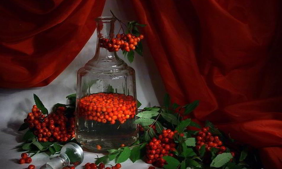 Рецепт рябиновой настойки на водке