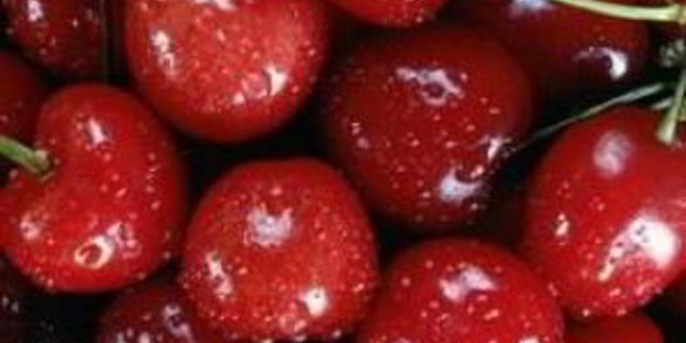 вишневая настойка