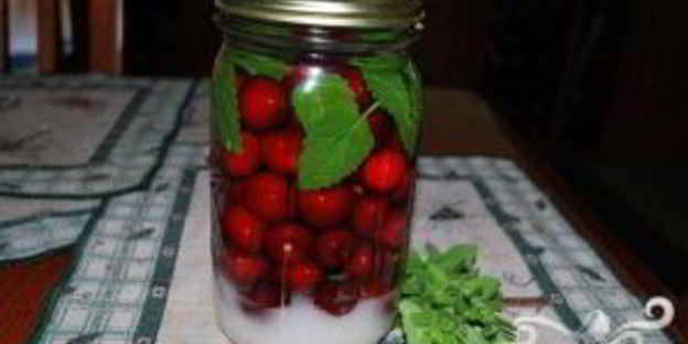 вишневая настойка