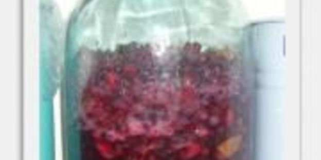 сибирское вино