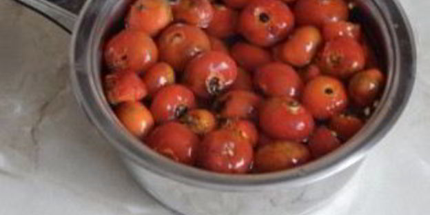 сироп из шиповника