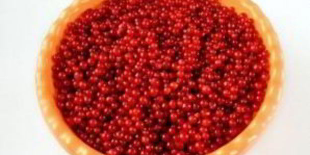 сироп из смородины на зиму