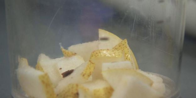 ризотто из овсянки с грибами и овсяный смузи с грушей