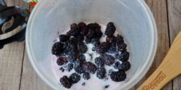 смузи с шелковицей