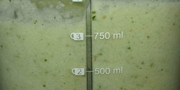 яблочный смузи с кабачком и сельдереем