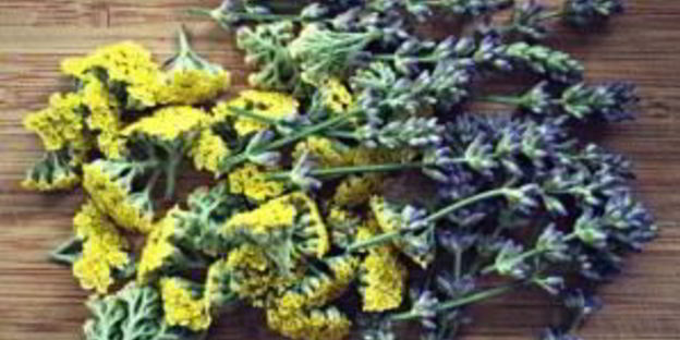 вино из меда