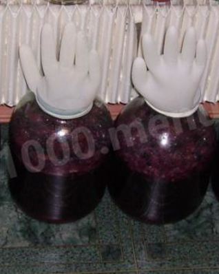 Вино из винограда северных сортов