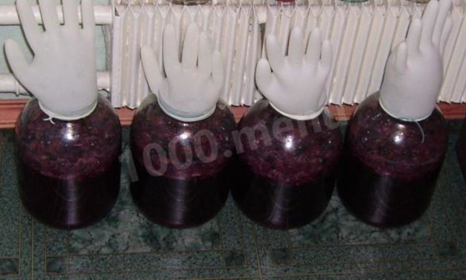 Рецепт вина из винограда северных сортов