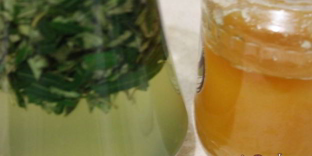 витаминный напиток из листьев облепихи с медом и мятой