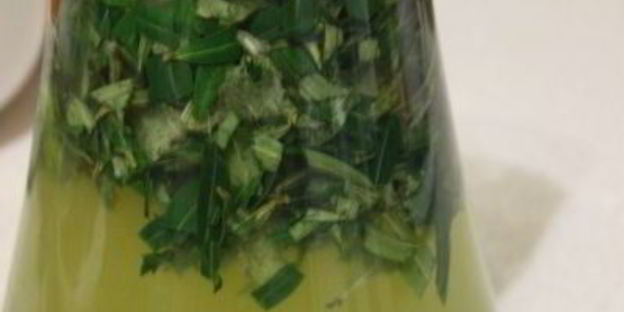 витаминный напиток из листьев облепихи с медом и мятой