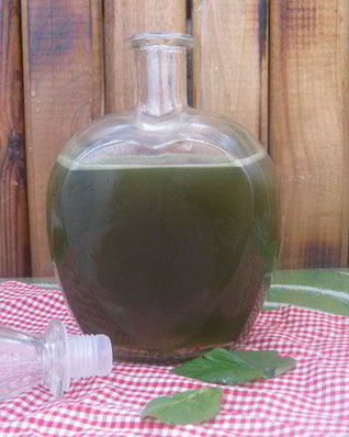 Зеленый мятный сироп