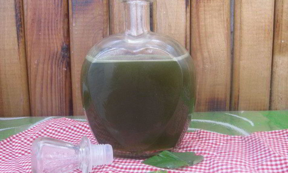 Рецепт зеленого мятного сиропа