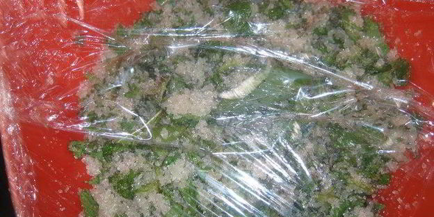 зеленый мятный сироп