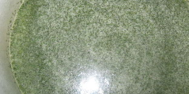 зеленый мятный сироп