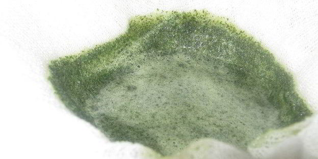 зеленый мятный сироп