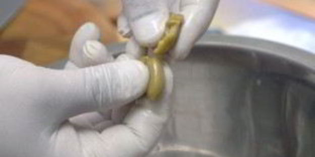 греческий салат без перца