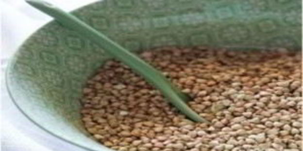 салат с гречкой