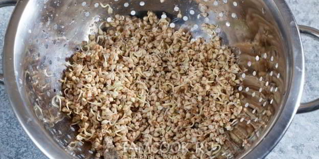 салат с проростками гречки