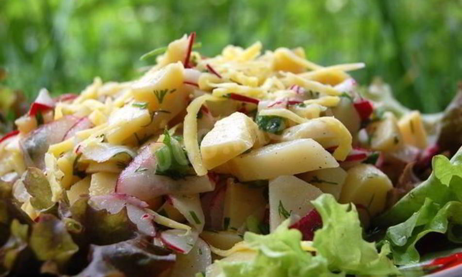 Рецепт картофельного салата с редиской и зеленью