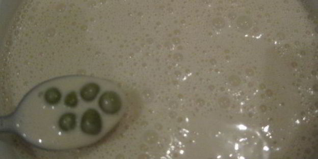 салат-желе оливье