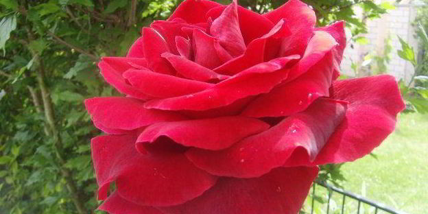 паста-салат вителло тоннато