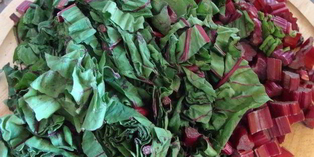 салат из молодой свеклы с листвой