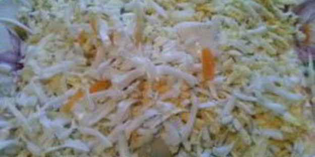 салат мимоза вкусный