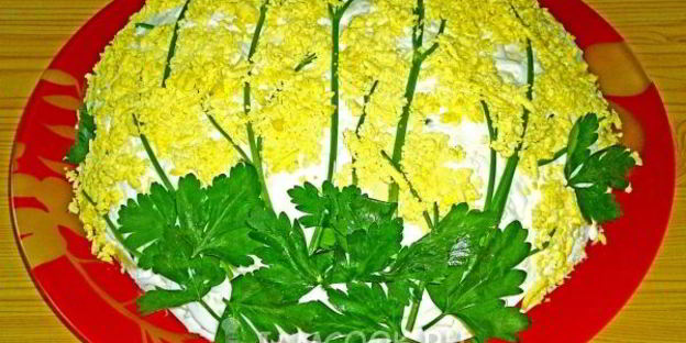 слоеный салат мимоза