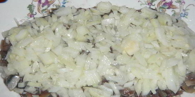 хамса под шубой