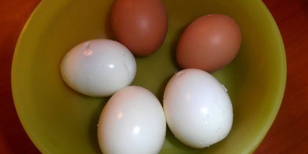 салат сельди под шубой