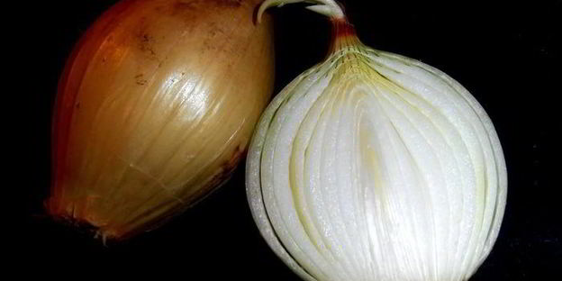 салат сельди под шубой