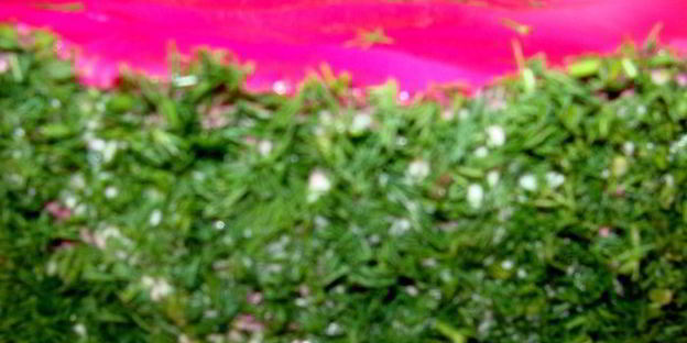 селедка под шубой новогодняя