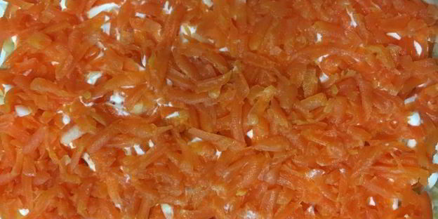 селедка под шубой с хлебом