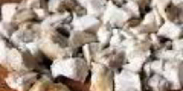 грибной взрыв — салат цезарь по-русски