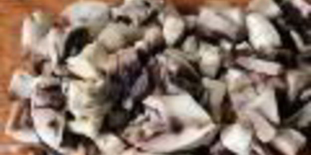 грибной взрыв — салат цезарь по-русски