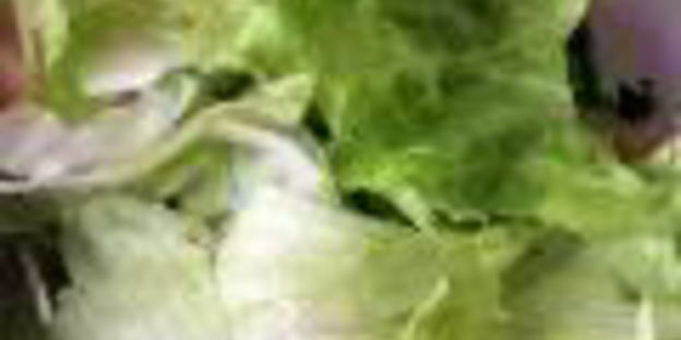 грибной взрыв — салат цезарь по-русски