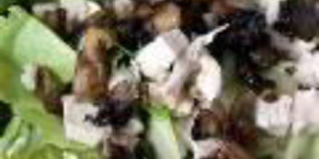 грибной взрыв — салат цезарь по-русски