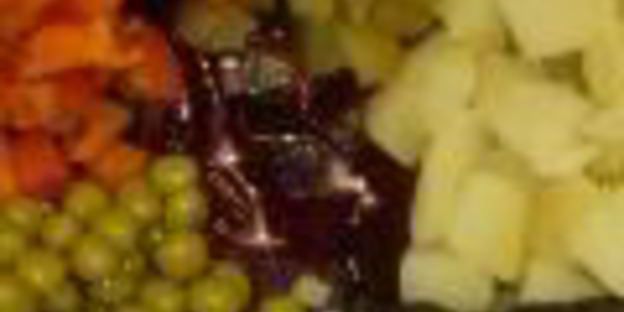 винегрет из испании