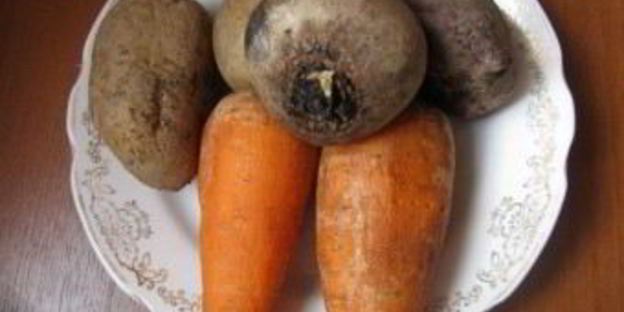 винегрет с селедкой