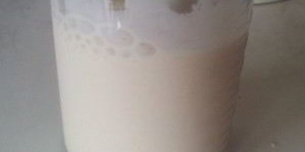 домашний майонез низкокалорийный