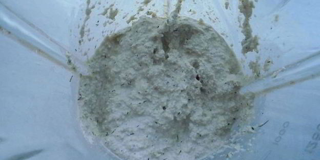 майонез из подсолнечных семечек