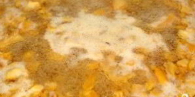 грибной соус из лисичек